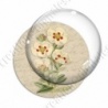 Image digitale - Fleurs