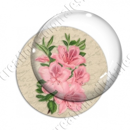 Image digitale - Fleurs roses