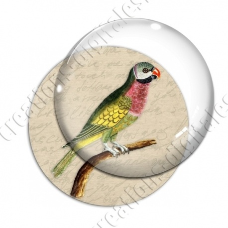 Image digitale - Oiseau