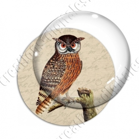 Image digitale - Hibou