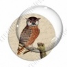 Image digitale - Hibou