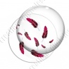 Image digitale - Plumes rouges