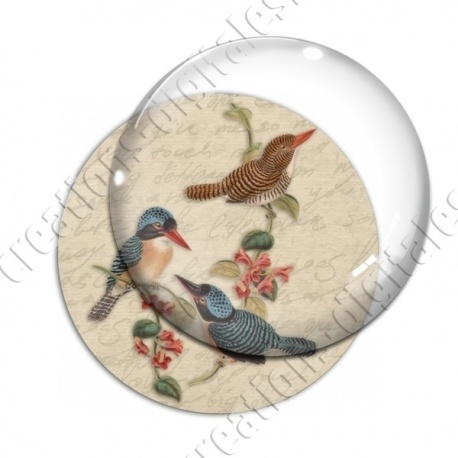 Image digitale - 3 oiseaux