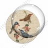 Image digitale - 3 oiseaux