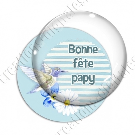 Image digitale - Bonne fête papy fond oiseau