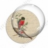 Image digitale - 2 oiseaux