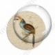 Image digitale - Oiseau à long bec