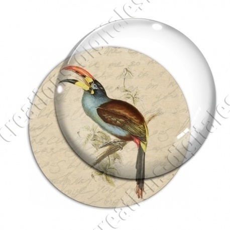 Image digitale - Oiseau à long bec