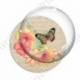 Image digitale - Fleurs et papillon