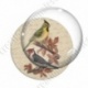 Image digitale - 2 oiseaux