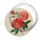 Image digitale - Fleur rouge