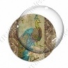 Image digitale - Paon vintage