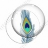 Image digitale - Plume de paon