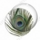 Image digitale - Plume de paon 1