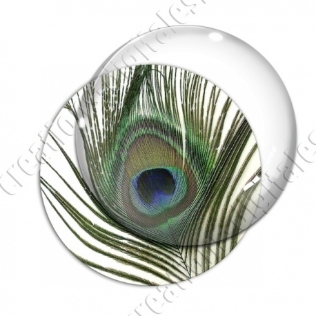 Image digitale - Plume de paon 1
