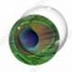 Image digitale - Plume de paon 3