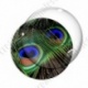 Image digitale - Plume de paon 4