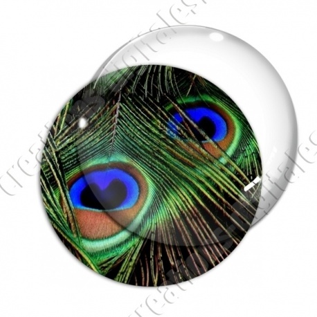 Image digitale - Plume de paon 4