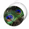 Image digitale - Plume de paon 4