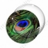Image digitale - Plume de paon 5