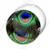 Image digitale - Plume de paon 7