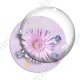 Image digitale - Fleur rose fond rose