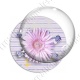 Image digitale - Fleur rose fond rayures horizontales