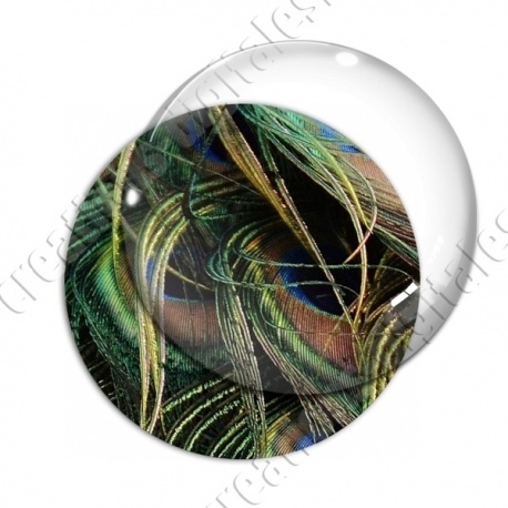 Image digitale - Plume de paon 11