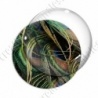 Image digitale - Plume de paon 11
