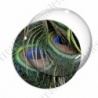 Image digitale - Plume de paon 12