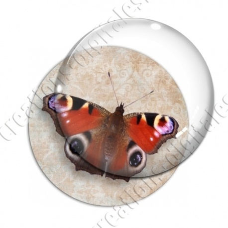 Image digitale - Papillon 