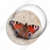 Image digitale - Papillon 