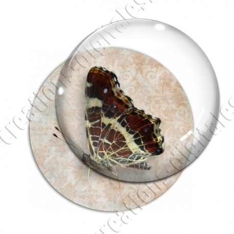 Image digitale - Papillon
