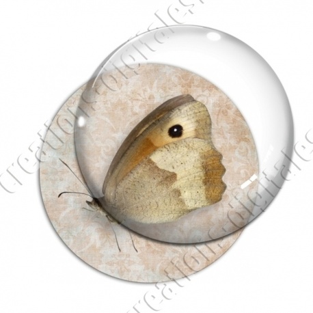 Image digitale - Papillon