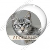 Image digitale - Chat adorable 01