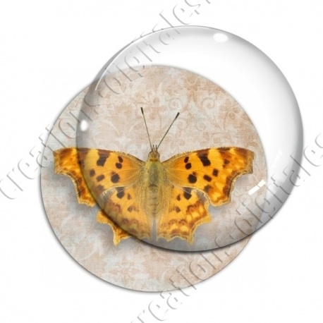 Image digitale - Papillon