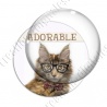 Image digitale - Chat adorable 03