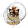Image digitale - Chat adorable 06
