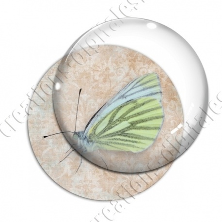 Image digitale - Papillon