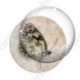 Image digitale - Papillon