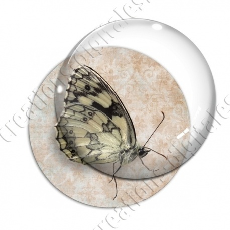 Image digitale - Papillon