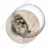 Image digitale - Papillon