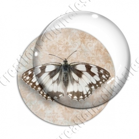 Image digitale - Papillon