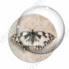 Image digitale - Papillon