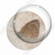 Image digitale - Papillon