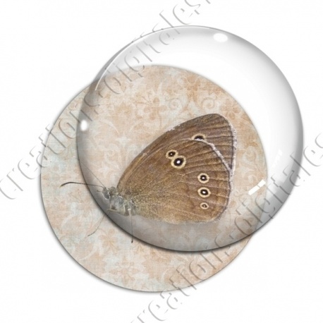 Image digitale - Papillon