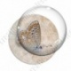 Image digitale - Papillon