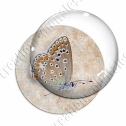 Image digitale - Papillon