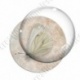 Image digitale - Papillon