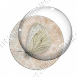 Image digitale - Papillon